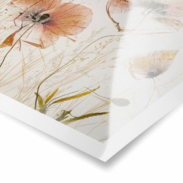 Tavlor Dried Poppy Flowers With Delicate Grasses