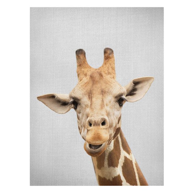 Canvastavlor djur Giraffe Gundel