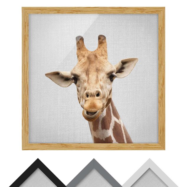 Tavlor svart och vitt Giraffe Gundel
