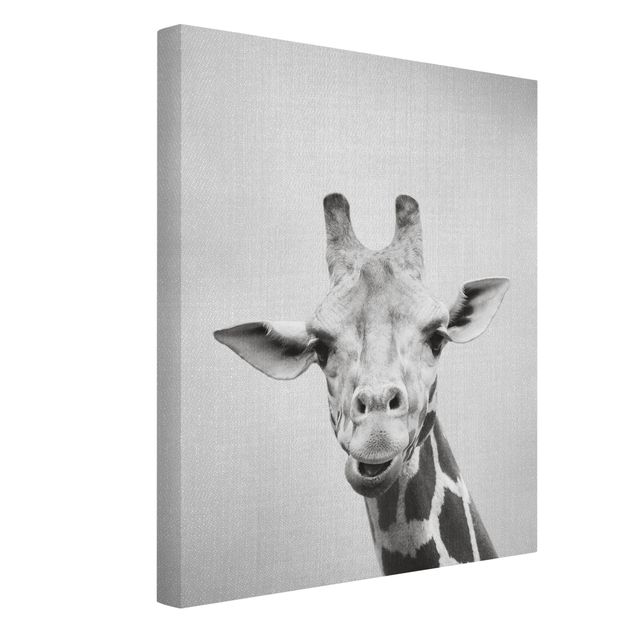 Canvastavlor svart och vitt Giraffe Gundel Black And White