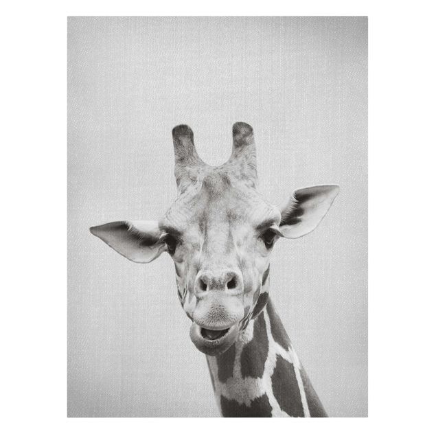 Canvastavlor djur Giraffe Gundel Black And White