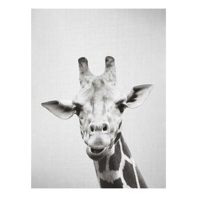 Tavlor Afrika Giraffe Gundel Black And White