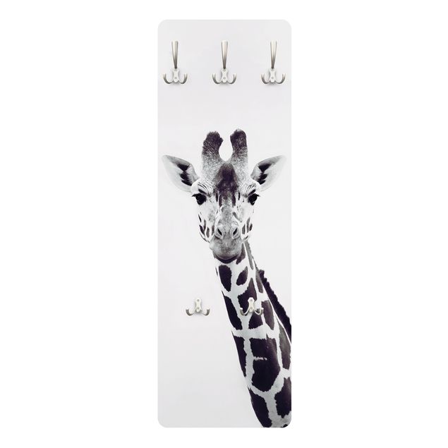 Klädhängare vägg Giraffe Portrait In Black And White