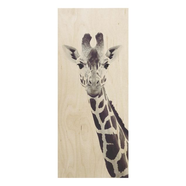 Tavlor Monika Strigel Giraffe Portrait In Black And White