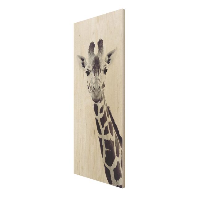 Tavlor Giraffe Portrait In Black And White