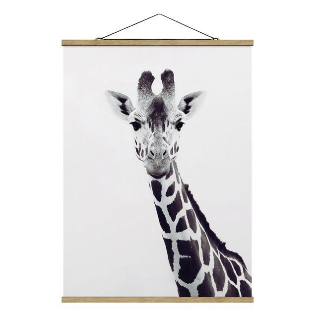 Tavlor djur Giraffe Portrait In Black And White