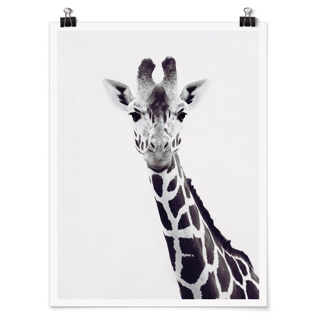 Posters djur Giraffe Portrait In Black And White