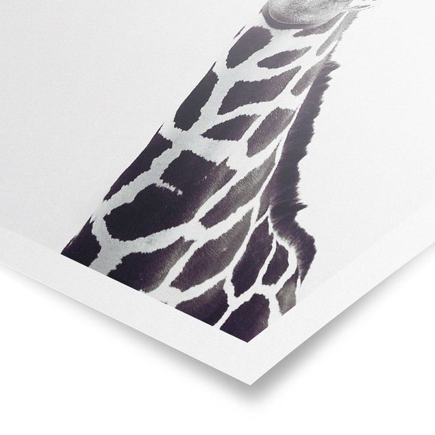 Tavlor modernt Giraffe Portrait In Black And White