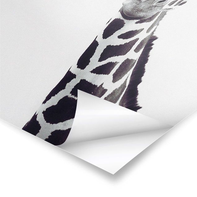 Tavlor Monika Strigel Giraffe Portrait In Black And White