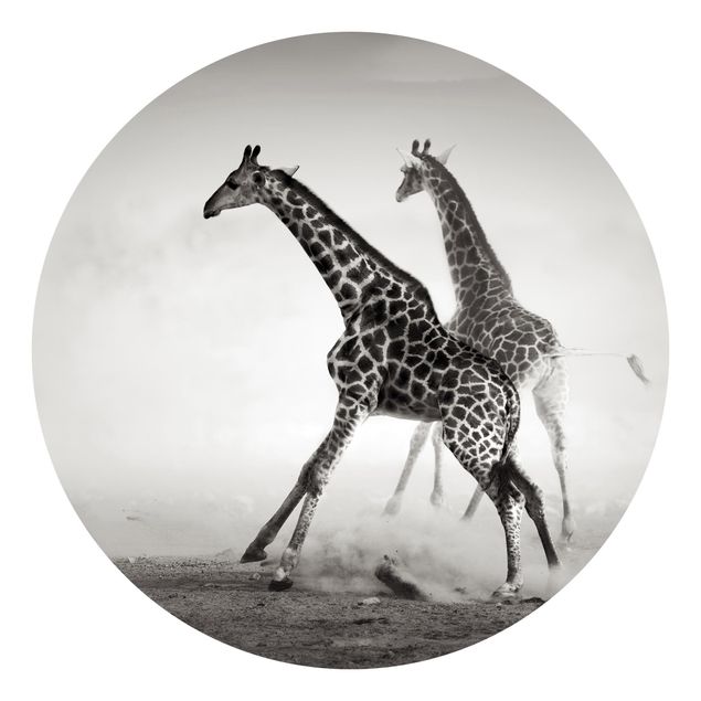 Fototapeter öknar Giraffe Hunt