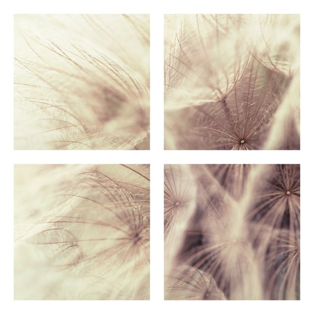 Tavlor blommor Detailed Dandelion Macro Shot With Vintage Blur Effect