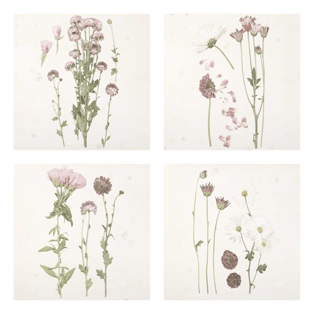 Tavlor blommor  Herbarium In Pink Set I