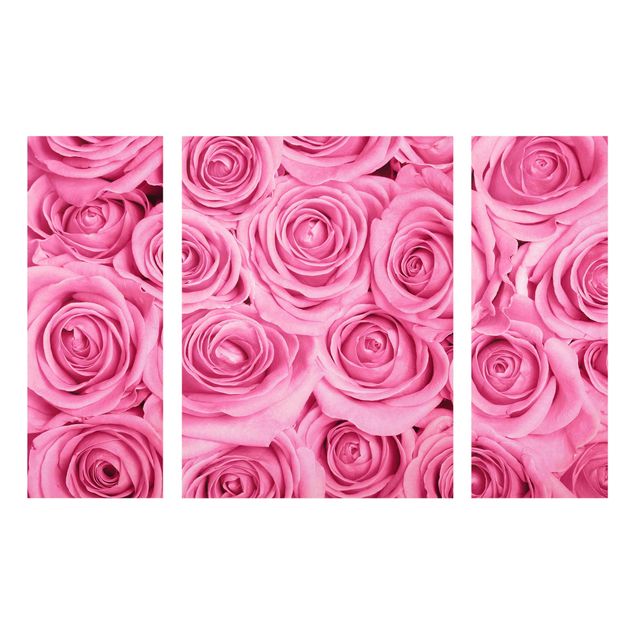 Tavlor blommor Pink Roses