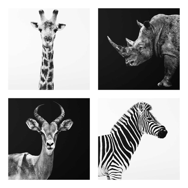Tavlor svart och vitt Safari Quartet