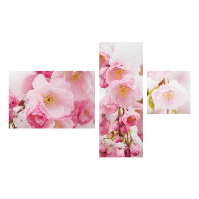 Tavlor blommor Snow-Covered Cherry Blossoms