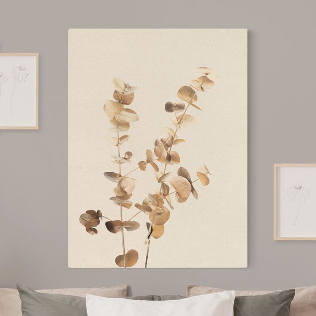 Canvastavlor blommor  Golden Eucalyptus