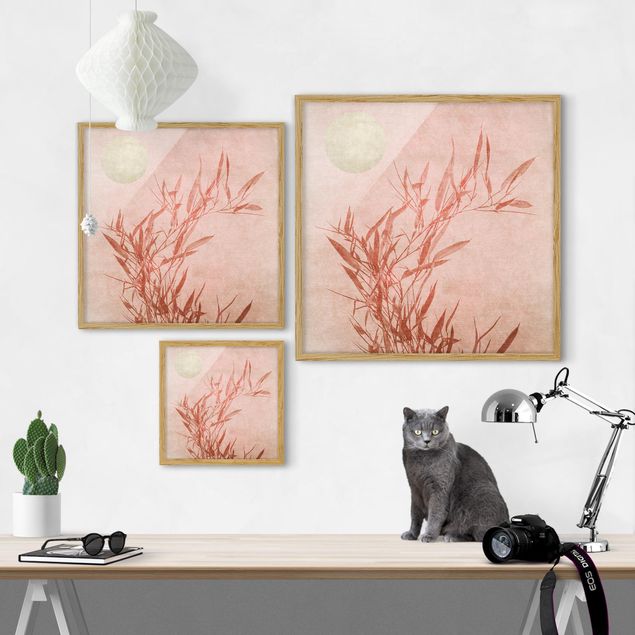 Tavlor konstutskrifter Golden Sun Pink Bamboo