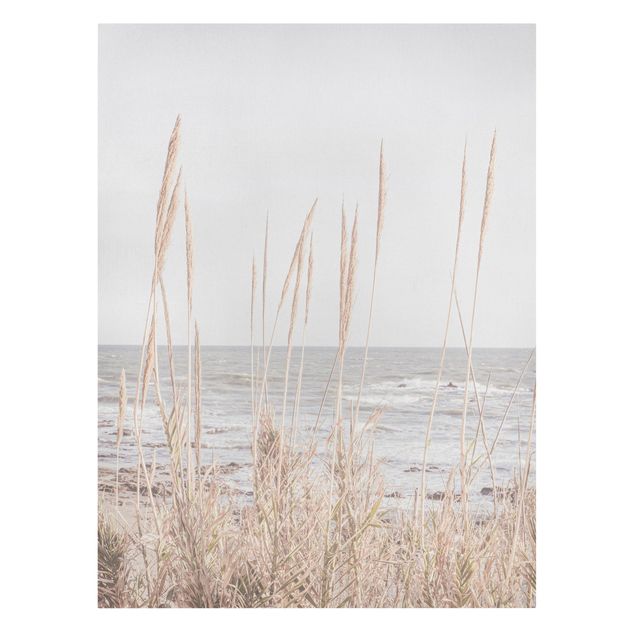 Tavlor hav Grasses by the sea