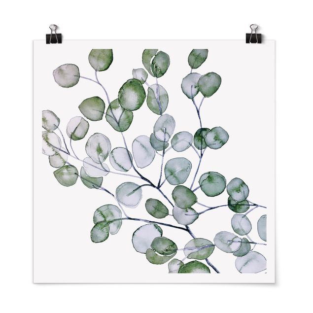 Tavlor blommor  Green Watercolour Eucalyptus Branch