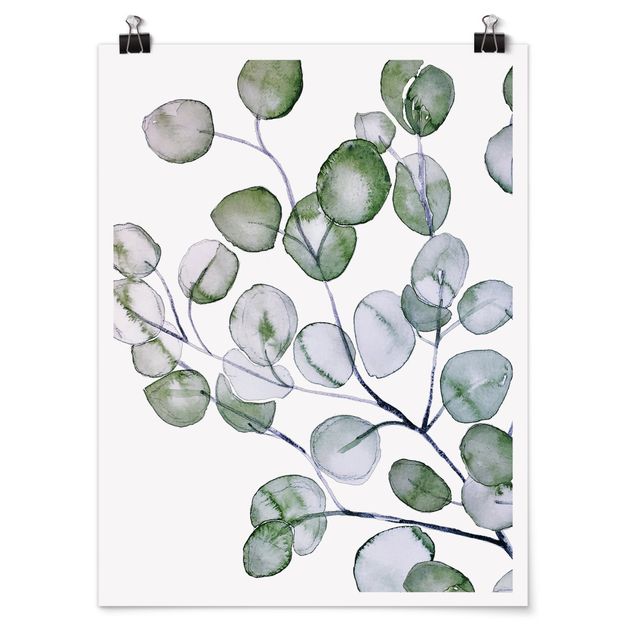 Tavlor blommor  Green Watercolour Eucalyptus Branch
