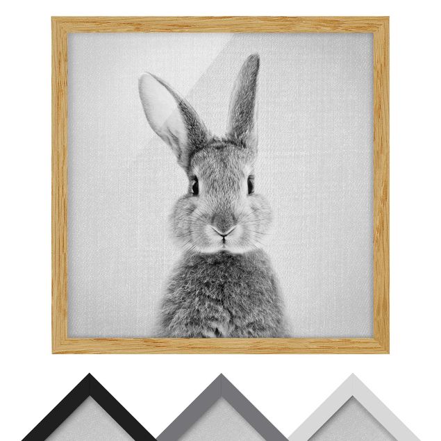 Tavlor Gal Design Hare Hilbert Black And White