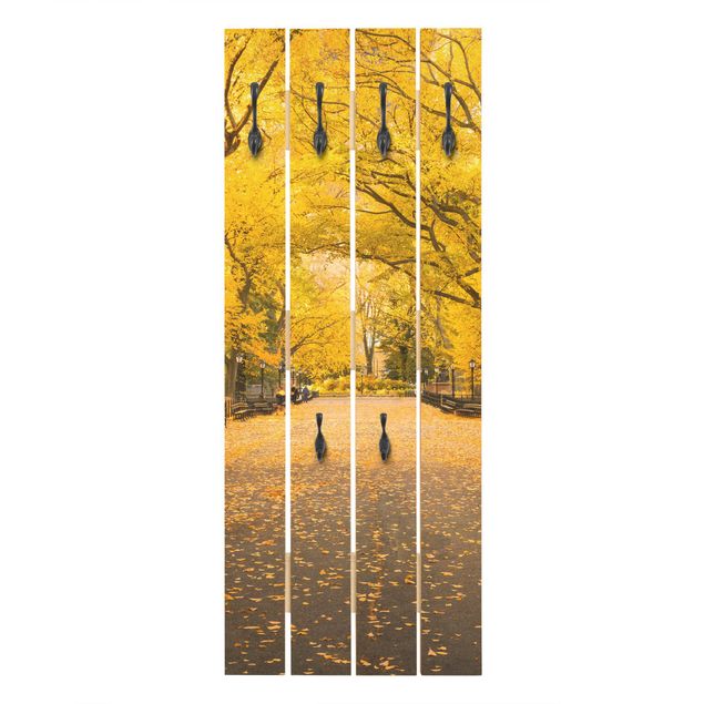 Klädhängare vägg Autumn In Central Park