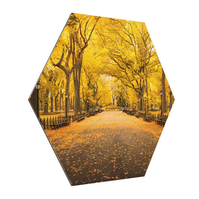 Tavlor modernt Autumn In Central Park