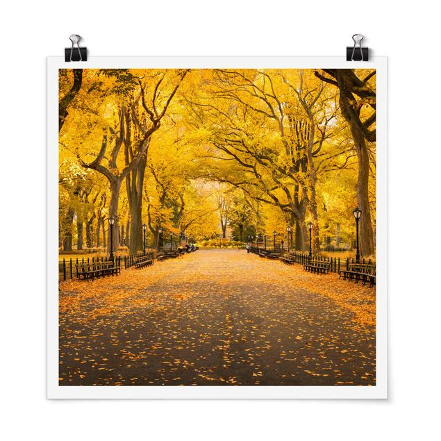 Tavlor arkitektur och skyline Autumn In Central Park