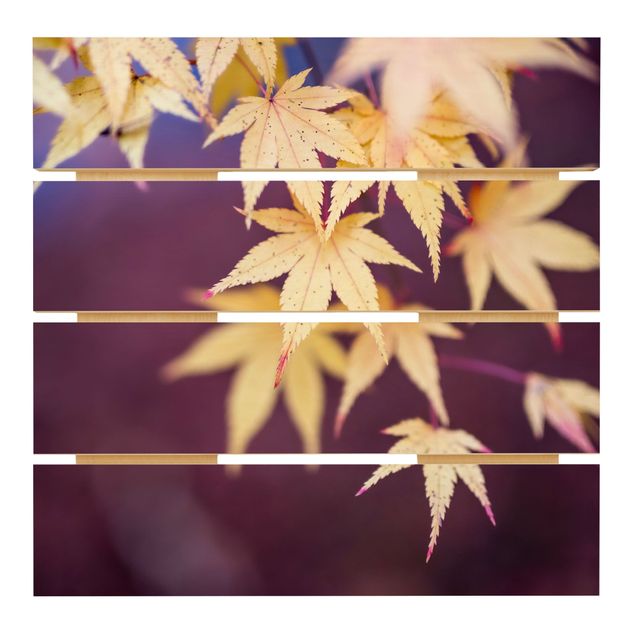 Trätavlor Autumn Maple Tree