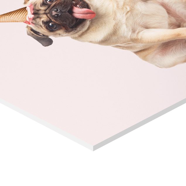 Hexagonala tavlor Pug With Ice-Cream Cone