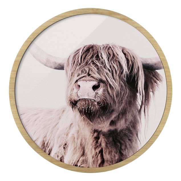 Tavlor Monika Strigel Highland Cattle Frida In Beige