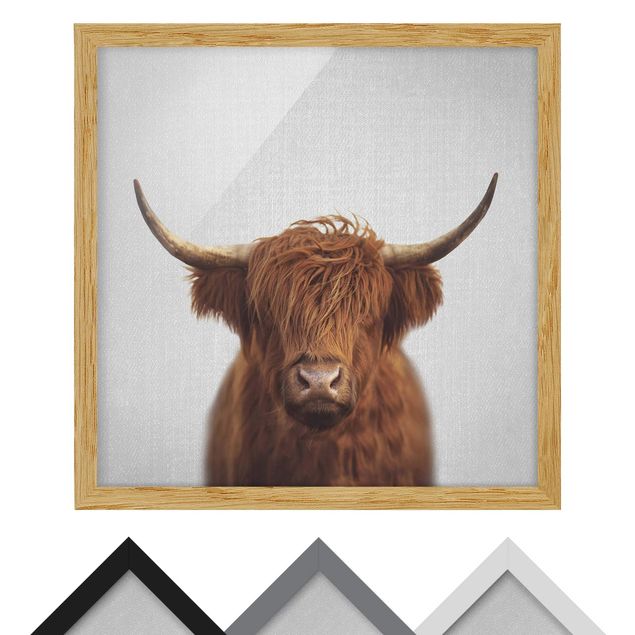 Tavlor Gal Design Highland Cow Harry
