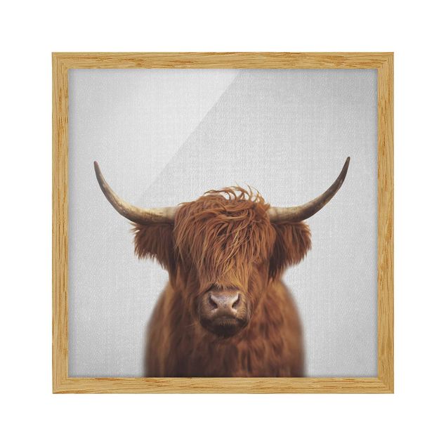 Tavlor modernt Highland Cow Harry