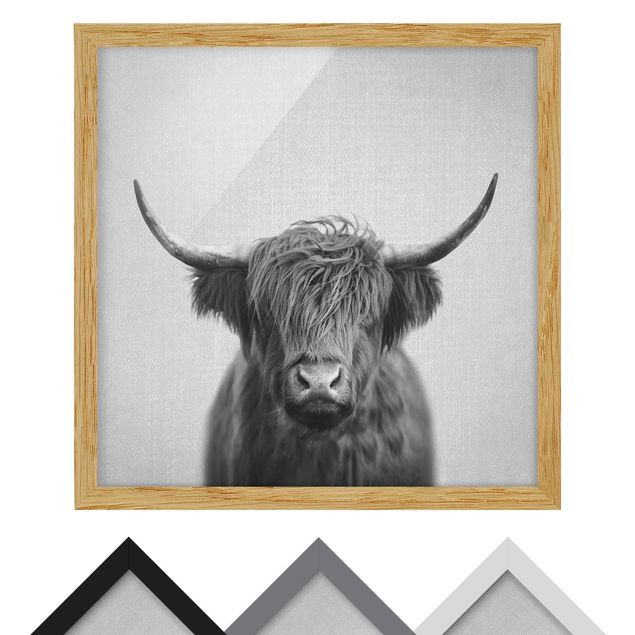 Tavlor Gal Design Highland Cow Harry Black And White