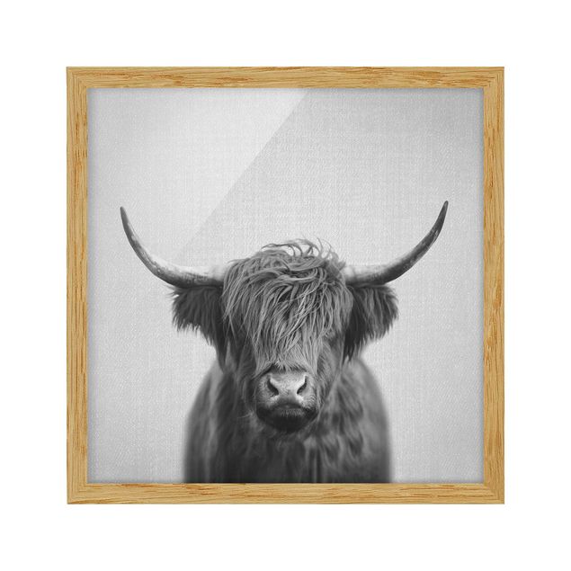 Tavlor modernt Highland Cow Harry Black And White