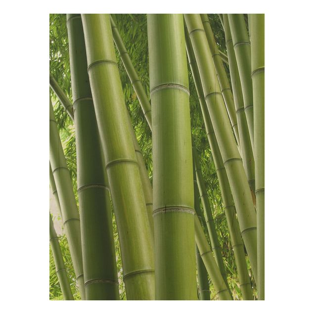Trätavlor blommor  Bamboo Trees No.1