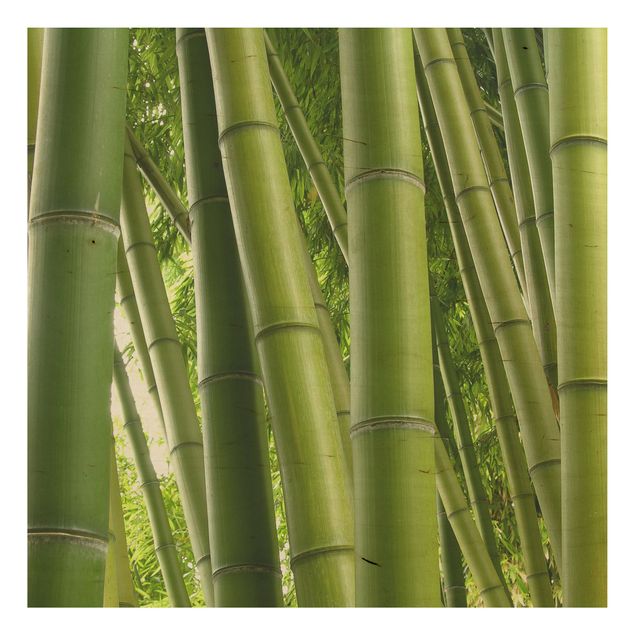 Trätavlor blommor  Bamboo Trees No.1