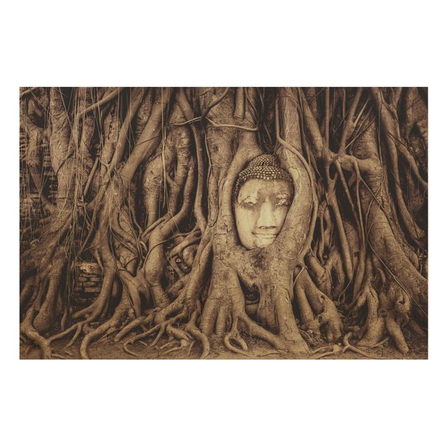 Trätavlor landskap Buddha In Ayutthaya Lined From Tree Roots In Brown