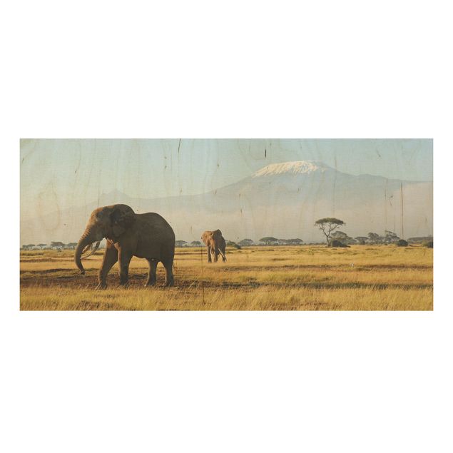 Trätavlor landskap Elephants In Front Of The Kilimanjaro In Kenya