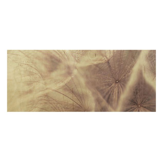 Trätavlor blommor  Detailed Dandelion Macro Shot With Vintage Blur Effect