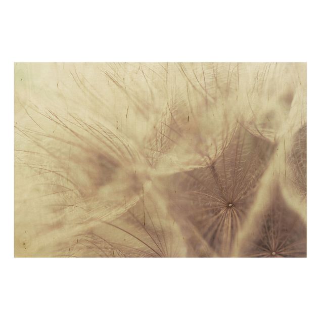 Trätavlor blommor  Detailed Dandelion Macro Shot With Vintage Blur Effect
