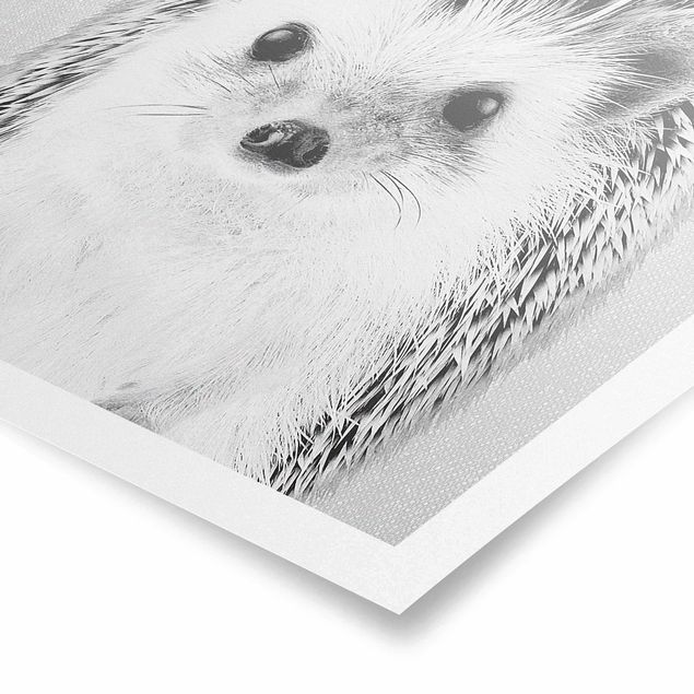Tavlor modernt Hedgehog Ingolf Black And White