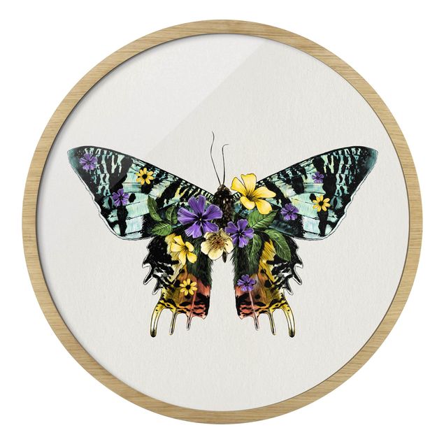 Tavlor färgglada Illustration Floral Madagascan Butterfly