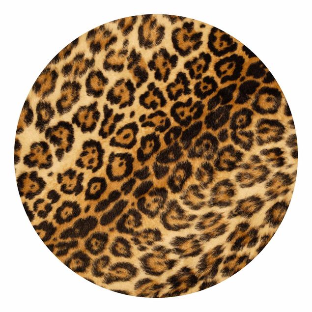 Fototapeter djur Jaguar Skin