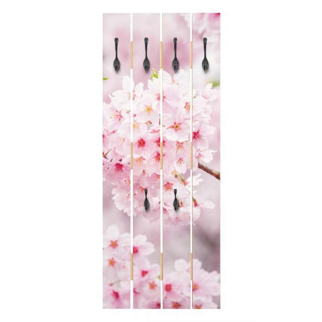 Klädhängare vägg Japanese Cherry Blossoms