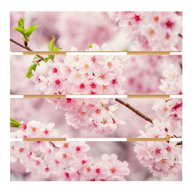 Trätavlor Japanese Cherry Blossoms