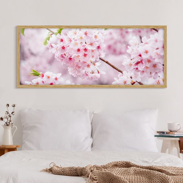 Tavlor Asien Japanese Cherry Blossoms