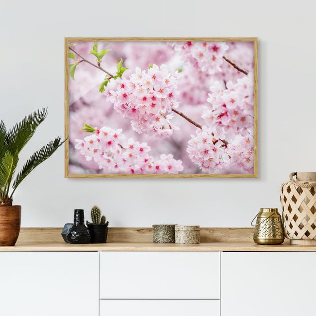 Kök dekoration Japanese Cherry Blossoms