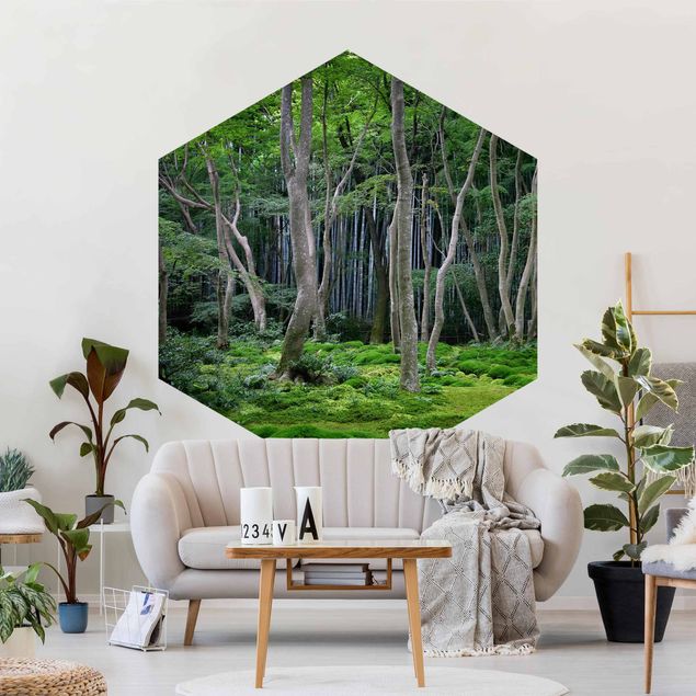 Hexagonala tapeter Japanese Forest