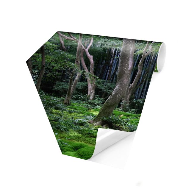 Fototapeter grön Japanese Forest